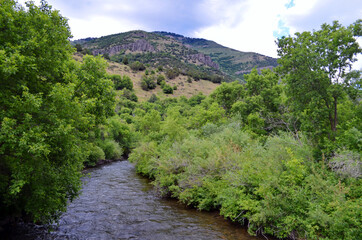 Fototapeta na wymiar Utah - Logan River near Guinavah Campsite