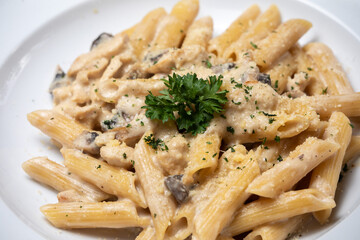 Homemade delicious pasta macaroni with white mushrooms chicken meet mushrooms in creamy cheese sauce in the white plate on the dark brown wood table. Parsley, spicy. Yellow, green.