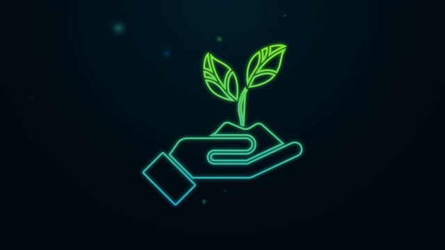 Glowing neon line Plant in hand of environmental protection icon isolated on black background. Seed and seedling. Planting sapling. 4K Video motion graphic animation