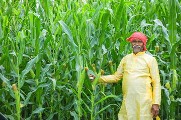 Indian farmer at corn field