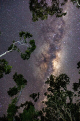 Noosa National Park, Coastal Track at Night