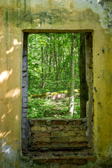 View through the window of an abandoned building to the green forest

