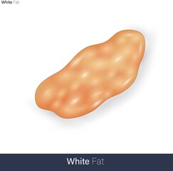 white fat tissue vector illustration eps