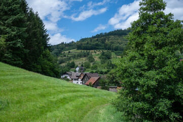 scenery with nature and houses in the black forest