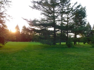 beautiful park full of grass and trees constituting a beautiful lawn and forming a splendid landscape