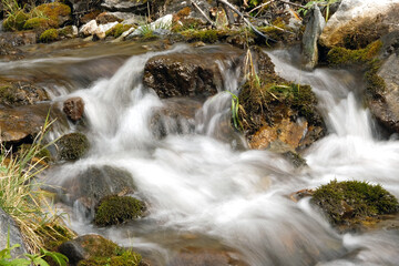 Fototapeta na wymiar Mountain stream in the Altai Republic. Water runs over rocks, close up