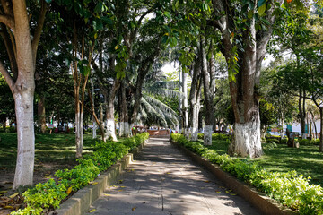 View to green tree alley with sun and shadow, Barichara Main Park, Colombia