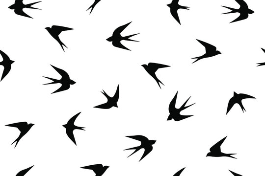 Swallows. Black birds on a white background. Seamless Vector Illustration