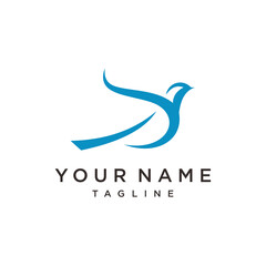 Bird logo deign, bird colibri, hummingbird colorful logo vector icon template design