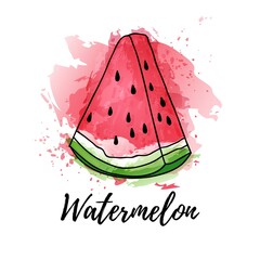illustration of slice watermelon fruit or berry. Vector watercolor splash background. Graphics for cocktails, fresh juice design. Natural organic food label.