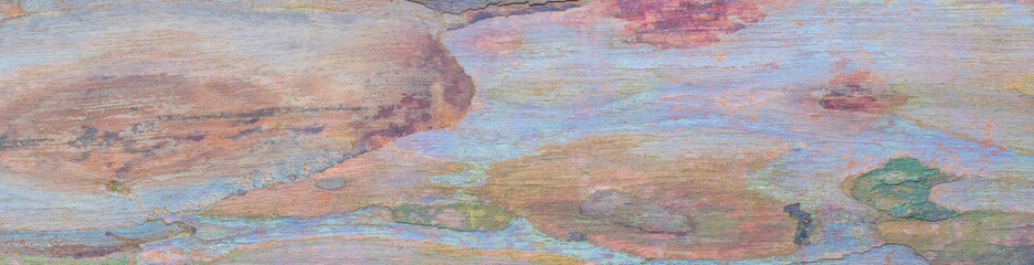Fototapeta na wymiar Colorful Tropical Tree Bark Texture Detail Banner