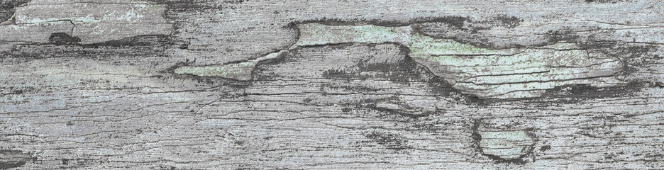 Tropical Tree Bark Texture Detail Banner