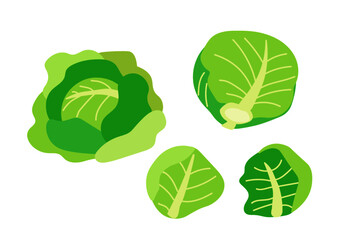 キャベツセット