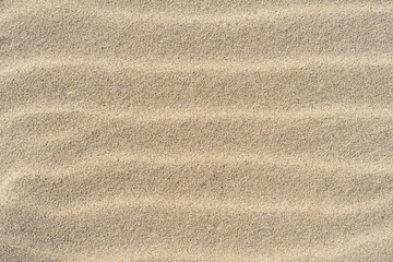 Fototapeta na wymiar Sand texture. Top view. Sandy beach for background.