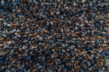 texture