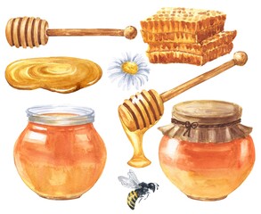Watercolor honey set with bee and camomile isolated on white background. Watercolour food illustration.