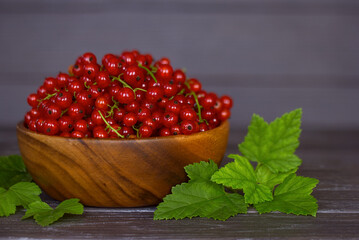 ripe red currant in a wooden bowl close-up. background with red currant and black currant branches of the bush.