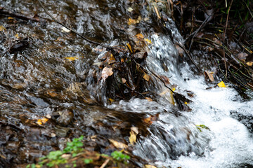 Water threshold in the autumn forest. Running water along the river bed.