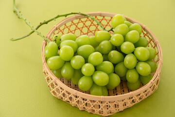 シャインマスカット