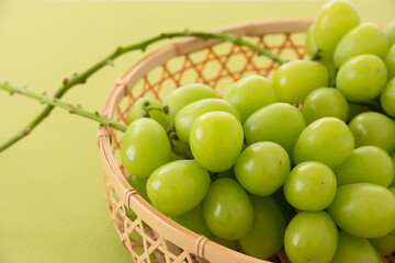 シャインマスカット