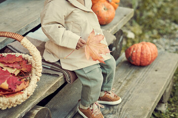 little girl playing with autumn leaves. dressed in warm autumn clothes.