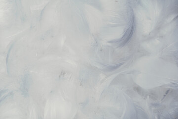 White  soft feathers background.