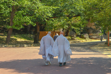 Korean monk