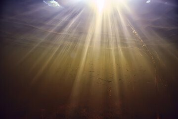 Fototapeta premium rays of light underwater fresh lake, abstract background nature landscape sun water