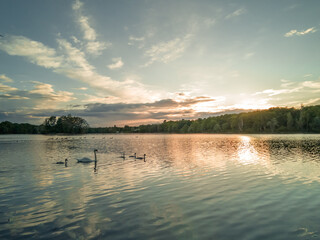 the end afternoon at the lake, great for the duck family outing