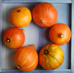 small pumpkin still life halloween closeup photo