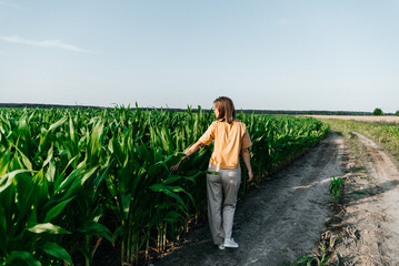 Fototapeta premium young woman in a corn field in a yellow t-shirt with a place under the text with short hair
