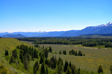 Wyoming - Grand Teton Park Landscape