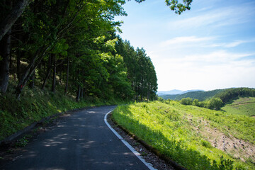 四国の山奥の開けた道路