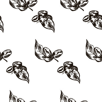 Coffee beans doodle pattern. Seamless picture on a white background. Vector illustration.
