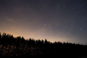 Fototapeta premium Up in stars