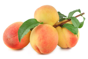 Branch with peaches isolated on a white background