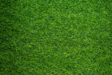 green grass background