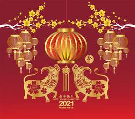Happy chinese new year 2021 Zodiac sign with gold paper cut art and craft style on color Background (Chinese translation Happy chinese new year 2021, year of ox)