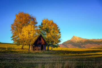 small haystack with two trees and Krivan hill in the background