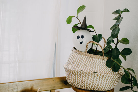 Halloween DIY indoor decor. Interior of the house decorated for Halloween with DIY ghost balloon and houseplant in natural, zero waste style