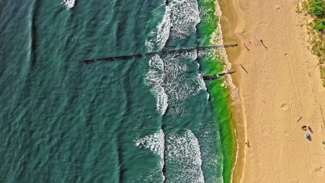 Top down view of Baltic Sea with cyanobacteria