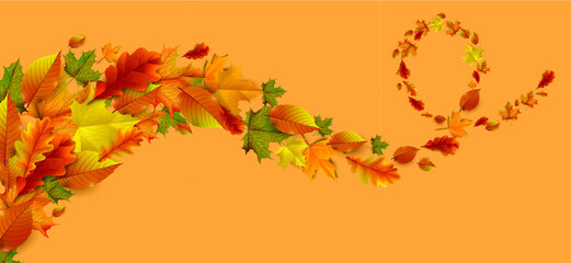 Greetings and gifts for the autumn and autumn season concept. Autumn background, poster and banner template with colorful autumn leaves.