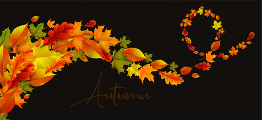 Greetings and gifts for the autumn and autumn season concept. Autumn background, poster and banner template with colorful autumn leaves.