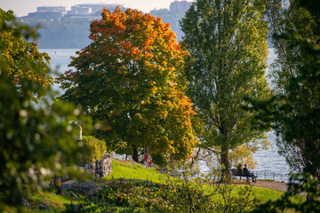 Naklejka premium Garden and trees around Prince Eugens Waldemarsudde surroundings in autumn