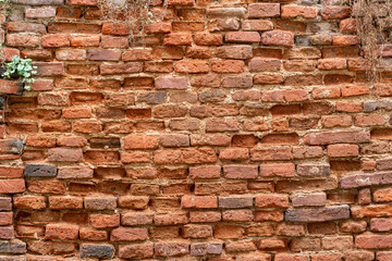 Fototapeta premium old brick wall background