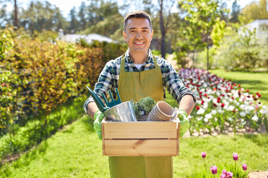gardening and people concept - happy smiling middle-aged man in apron with tools in box at summer garden