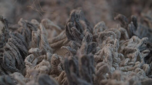 Extreme close up shaggy mop and trash on it. Texture, background. Macro shot with slide or move camera.