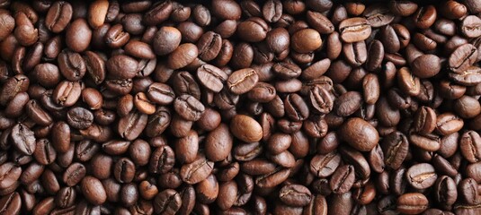 Fototapeta premium coffee beans texture