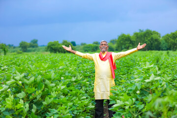 Indian farmer at cotton field