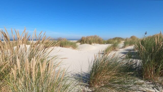 Sand dunes waving in the wind at Schiermonnikoog isle in the Netherlands